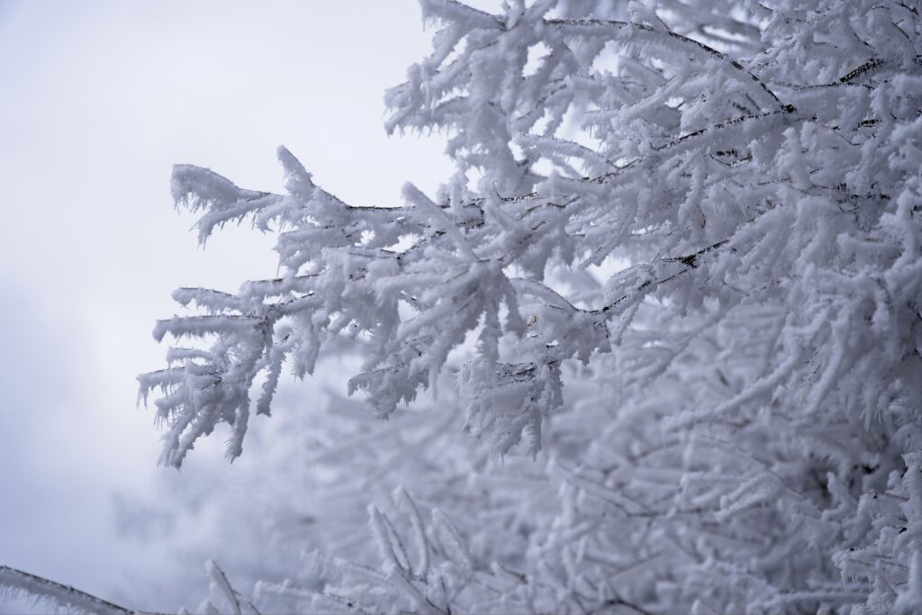 Herisau, December 2025