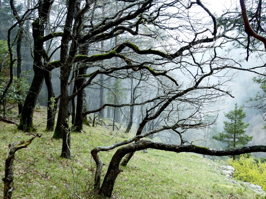 Neuchâtel, April 2023